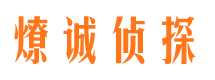 大新私家侦探公司